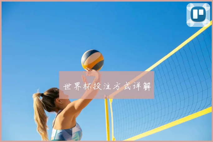 世界杯投注方式详解