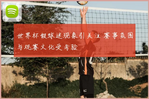 世界杯假球迷现象引关注 赛事氛围与观赛文化受考验
