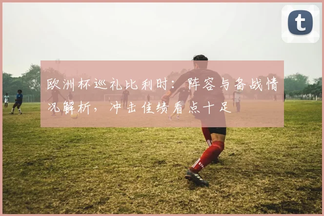 欧洲杯巡礼比利时:阵容与备战情况解析,冲击佳绩看点十足